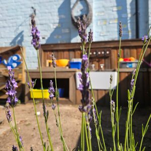 Mud kitchen